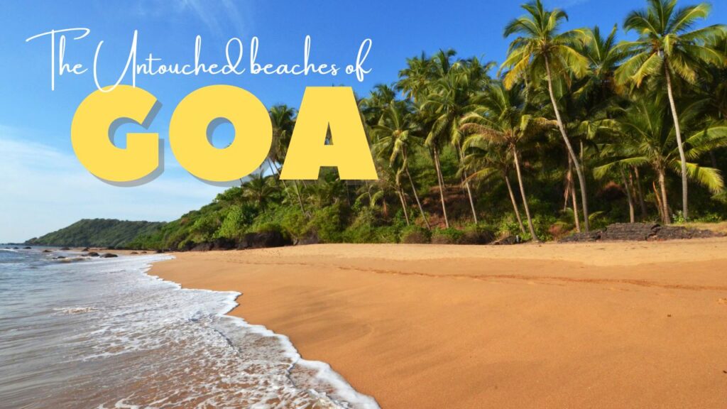 WhatsApp Image 2025 12 16 At 2.10.43 PM 1024x576